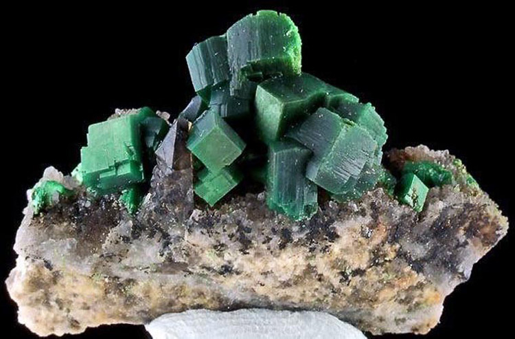 Torbernite được cho là quặng của địa ngục. Loại quặng này là sự kết hợp của phốt-pho, đồng, nước, uranium. Nếu uranium phân rã, chất khí radon có thể khiến bạn bị ung thư phổi.
